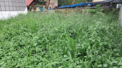 keralarealty Plot View 2