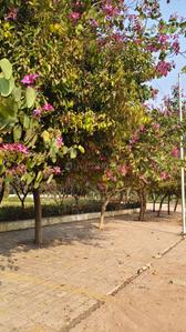 Image of 3000 Sq.ft 4 BHK Independent House for sale in Dunda, Raipur for Rs. 11600001