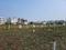 Wagholi Plot View 1
