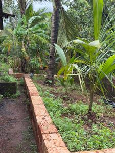Image of 24976 Sq.ft Residential Plot / Land for sale in Niwali, Ratnagiri for Rs. 9000000