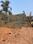 Pilerne Plot View 2