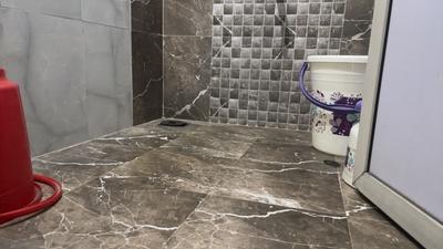 Bathroom Image of 680 Sq.ft 1 BHK Apartment / Flat for rent in Platinum Avior, Kalamboli Navi Mumbai for Rs. 22000