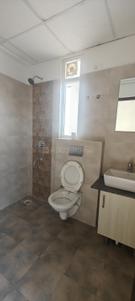 Bathroom Image of 1400 Sq.ft 3 BHK Apartment / Flat for rent in Umbera Greens, Sangowal Ludhiana for Rs. 20000