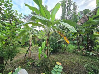 Image of 10875 Sq.ft Residential Plot / Land for sale in Kakkanad, Kochi for Rs. 26000000
