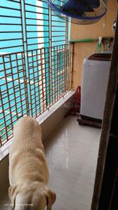 Balcony Image of 687 Sq.ft 2 BHK Apartment / Flat for sale in Santoshpur Kolkata for Rs. 2800000