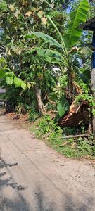 Banarjee Para Plot View 2
