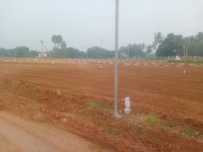 Image of 1200 Sq.ft Residential Plot / Land for sale in Chettinayakanpatti, Dindigul for Rs. 800000