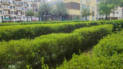 Image of 1735 Sq.ft 4 BHK Apartment / Flat for sale in Rising Homes At DXP 92, Sector 92, Gurgaon for Rs. 16000000