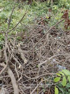 Image of 2400 Sq.ft Residential Plot / Land for sale in Vidyaranyapura, Bengaluru for Rs. 17500000