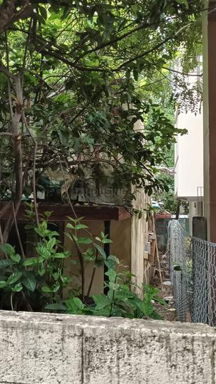 New Colony, Adambakkam Main Image 1