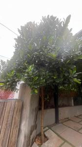 Image of 3000 Sq.ft 4 BHK Independent House for rent in Malaparamba, Kozhikode for Rs. 100000