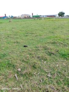 Image of 6700 Sq.ft Residential Plot / Land for sale in Mangaldai, Darrang for Rs. 5000000