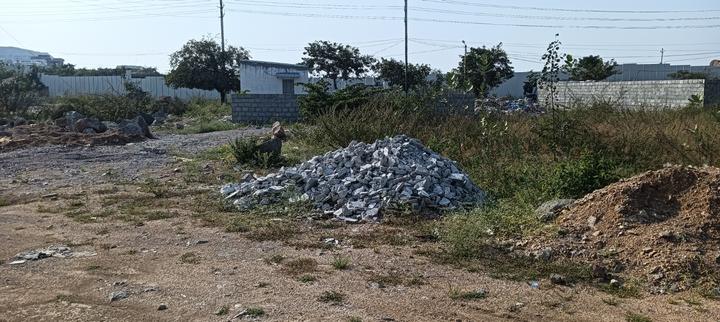 Manasa Hills, Rajendra Nagar Main Image 1