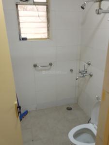 Bathroom Image of 950 Sq.ft 1 BHK Apartment / Flat for rent in Sydney Court, Ashok Nagar Bengaluru for Rs. 65000