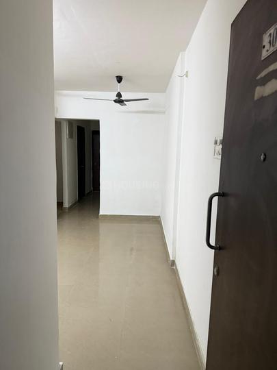 DB Ozone Main Image 1