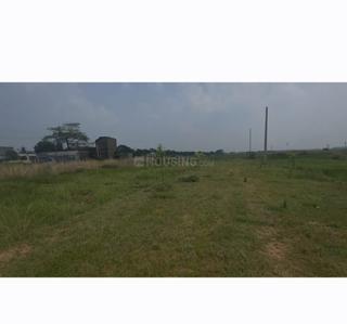 Image of 1500 Sq.ft Residential Plot / Land for sale in Raghunathpur, Bhubaneswar for Rs. 4800000
