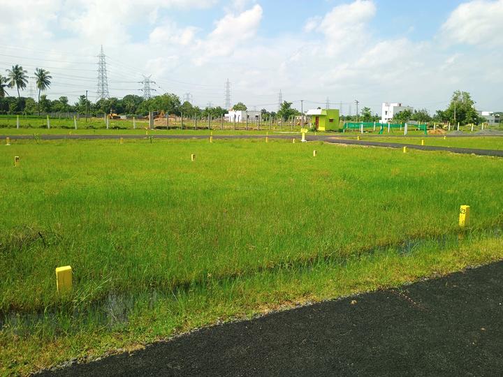 Kayarambedu Main Image 1