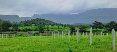 Image of 3700 Sq.ft Residential Plot / Land for sale in Neral, Thane for Rs. 3696300