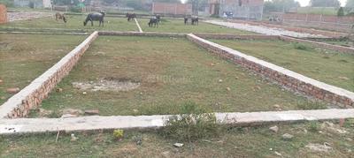 Image of 1111 Sq.ft Residential Plot / Land for sale in  Heights, Karchana, Allahabad for Rs. 1300000
