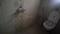 Laxmi Nagar Society Bathroom 1