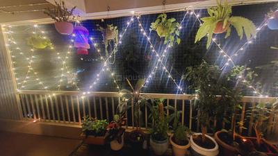 Balcony Image of 1040 Sq.ft 2 BHK Apartment / Flat for rent in Aakash Prabhukrupa Heights, Rane Nagar Nashik for Rs. 16000