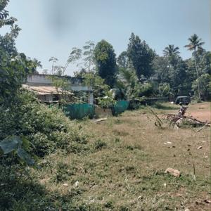 Image of 1214 Sq.ft Residential Plot / Land for sale in Koliyakode, Thiruvananthapuram for Rs. 7500000