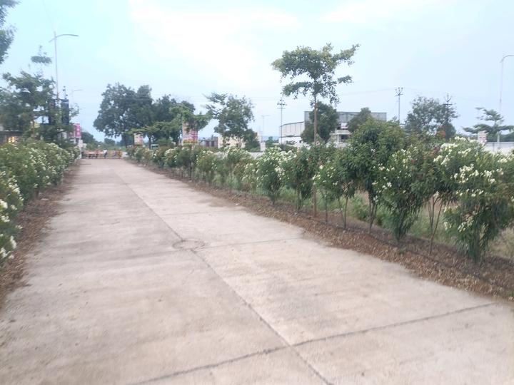 Lonikand Main Image 1