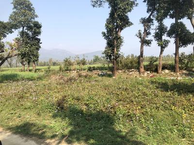 Vikasnagar Plot View 1
