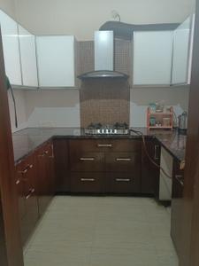 Kitchen Image of 1560 Sq.ft 2 BHK Independent House for rent in Shaheed Karnail Singh Nagar Ludhiana for Rs. 20000