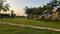 Sector 105 Plot View 2