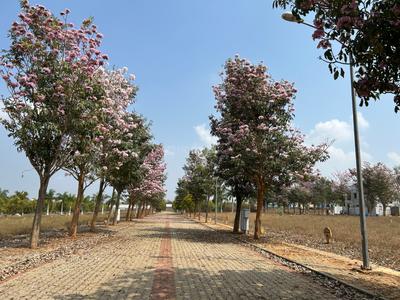 Image of 2400 Sq.ft Residential Plot / Land for sale in Lingapura, Anekal, Bengaluru for Rs. 15500000