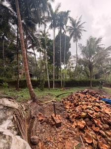 Image of 1000 Sq.ft 2 BHK Farm House for sale in Santhekatte, Udupi for Rs. 10000000