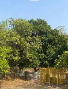 Image of 5005 Sq.ft Residential Plot / Land for sale in Neral, Thane for Rs. 5000254