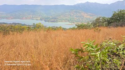 Image of 1000 Sq.ft Residential Plot / Land for sale in Bhor, Pune for Rs. 3658400