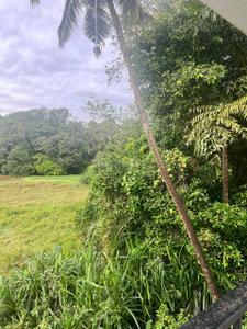 Image of 2500 Sq.ft 4 BHK Villa for sale in Seraulim, Goa for Rs. 30000000