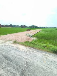 Image of 1360 Sq.ft 1 BHK Farm House for sale in Narayanpur, Mirzapur for Rs. 2350000