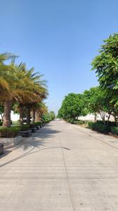 Image of 250 Sq.ft Residential Plot / Land for sale in New Chandigarh, Chandigarh for Rs. 23800000