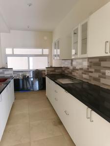 Kitchen Image of 920 Sq.ft 2 BHK Apartment / Flat for rent in Prestige Jindal City, Anchepalya Bengaluru for Rs. 35000