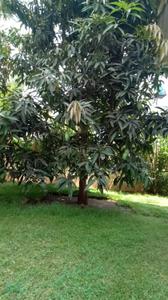 Image of 3230 Sq.ft 4 BHK Villa for sale in Chilhar, Mumbai for Rs. 15000000