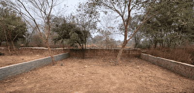 Image of 100 Sq.ft Residential Plot / Land for sale in Sector 166, Noida for Rs. 3500000