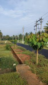 Image of 1200 Sq.ft Residential Plot / Land for sale in Gurur, Mysore for Rs. 4900000
