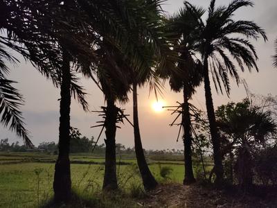Image of 19620 Sq.ft Residential Plot / Land for sale in Diamond Harbour, South 24 Parganas for Rs. 13500000