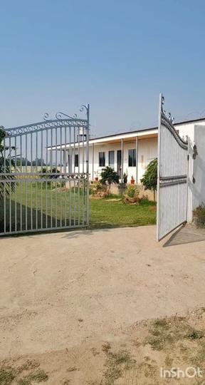 Royal MD Main Image 1