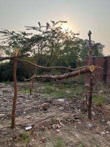 Image of 1170 Sq.ft Residential Plot / Land for sale in Tangori, Mohali for Rs. 5400000