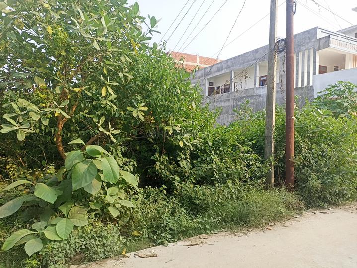 Ashok Nagar Main Image 1