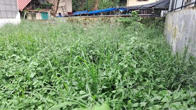 keralarealty Plot View 3