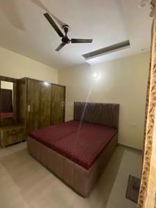 Bedroom Image of 900 Sq.ft 2 BHK Builder Floor for rent in Sector 127 Mohali for Rs. 21000