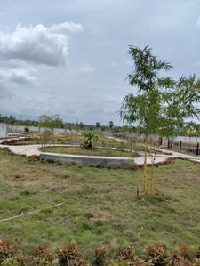 Image of 760 Sq.ft Residential Plot / Land for sale in Ganeshapuram, Coimbatore for Rs. 1186360