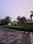 Sector 89 Plot View 2