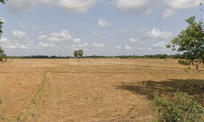 Muttukadu Plot View 2